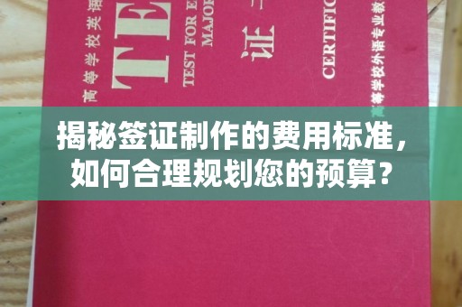 深坑揭秘签证制作的费用标准，如何合理规划您的预算？